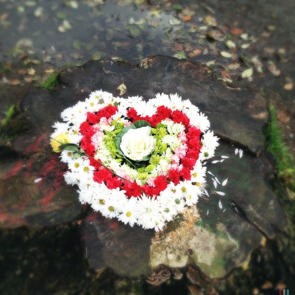 Discovered Heart, Green Lake, Seattle. December 2012.